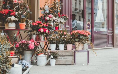 Parfumer un fleuriste grâce à la diffusion de parfum professionnel ?